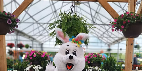 Easter Bunny at Covington's