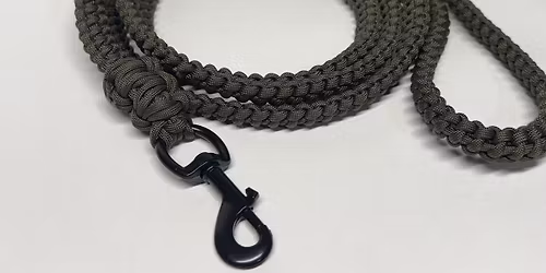 Westport dog festival 