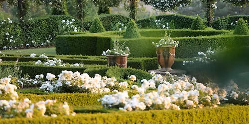 Rendez-Vous aux Jardins