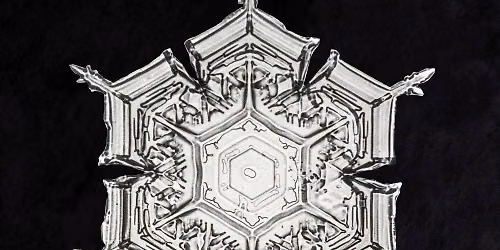 Homeschool Adventures: SNOWFLAKE BENTLY