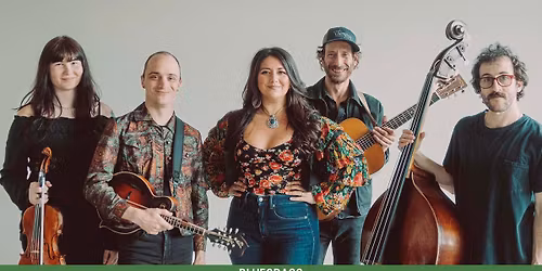 Never Come Down w\/ My Dog Jack at The Freight