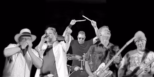 ROOSTER\u2018S FARM - Blues-Rock aus dem Norden