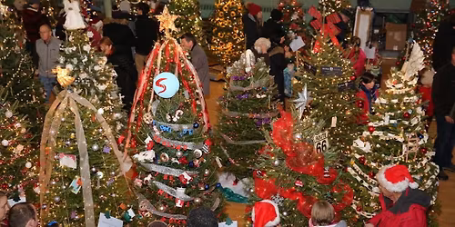 Festival of Trees Entry