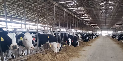 2025 West Michigan Dairy Education Dinner