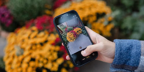 Phone Photography Workshop