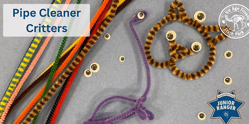 Pipe Cleaner Critters