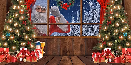 MISS TAZEWELL COUNTY CHRISTMAS