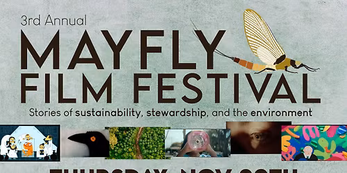 3rd Annual Mayfly Film Festival - TROY NY (Picture Lock One)