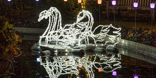 GardenFest: Voices of Peace