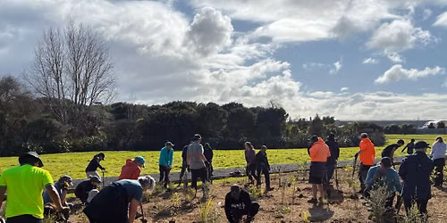 Tree planting day (Okura Walkway)