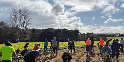 Tree planting day (Okura Walkway)