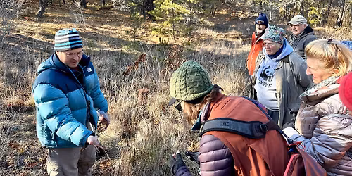 Nature Walk: Holiday Lichen Walk with Tom Walker