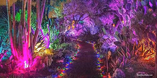 Opening Night of Garden of D'Lights