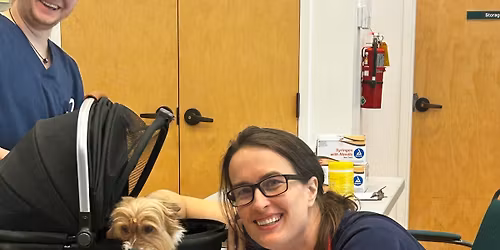 Low Cost Veterinary Wellness Clinic