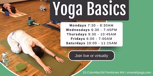 \ud83e\uddd8Yoga Basics - Live + Virtual