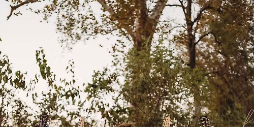 Gavin Vollman live at RJ’s in Boonville 