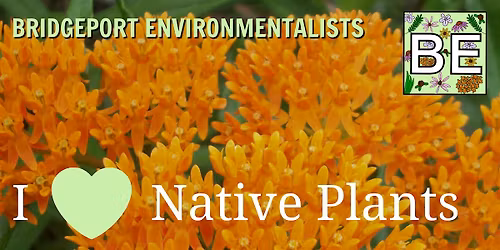 I Love Native Plants