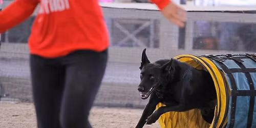 Sailfish Capital Agility Club Trial