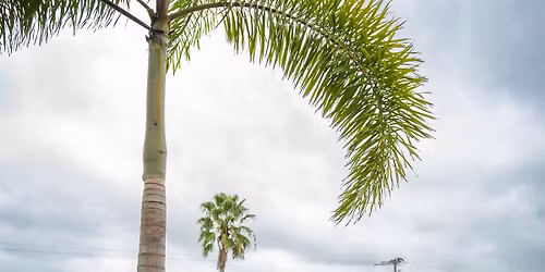 Waypoint Artisan Market