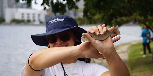Catch & Release: Fishing Series