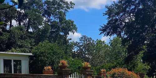 End of Season Plant Giveaway