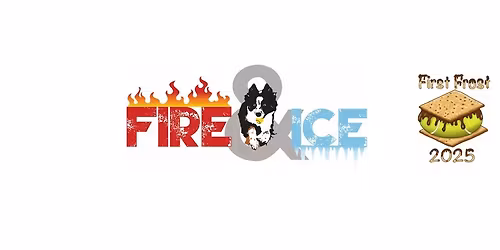 First Frost 2025 NAFA Flyball Tournament