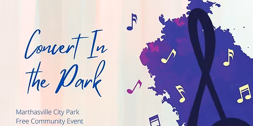 Concert In The Park - The Silver Rain Band