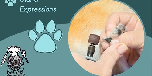 PAWdicure Day