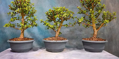 Saturday discussion with Ryan Rubel