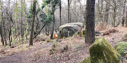 Orienteering at Cromford Moor (EML)