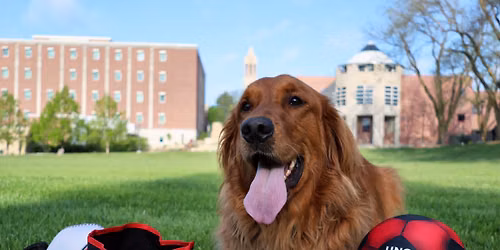 Dog Days of Summer at Sonny\u2019s