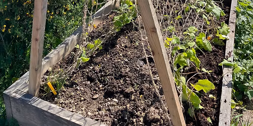 Queen Street Community Garden meet up