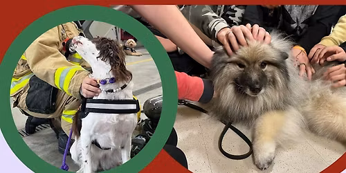 Mini Me Heroes Fundraising for NATIONAL Crisis Response Canines