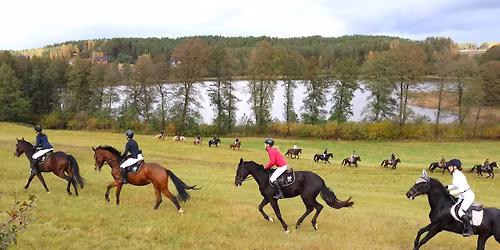 Rajd Konny na Hubertusa w Paluchu