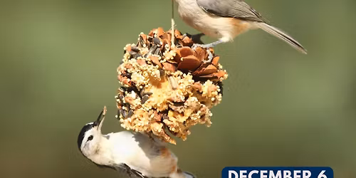 First Saturday - Bird Feeders