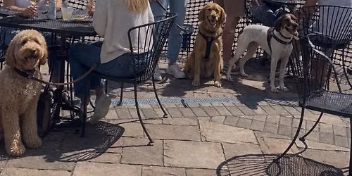 Pups & Pours on the Patio