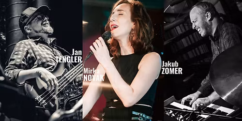 Novak, Zomer & Tengler trio | jazz club U Star\u00e9 Pan\u00ed, Prague