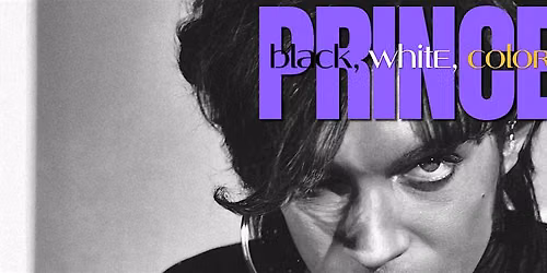 Steve Parke Celebrates PRINCE: In-store Signing & Sing-A-Long Event!