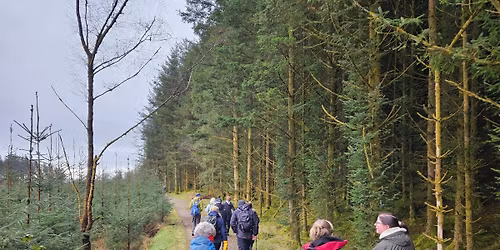Glen Massan Ramble