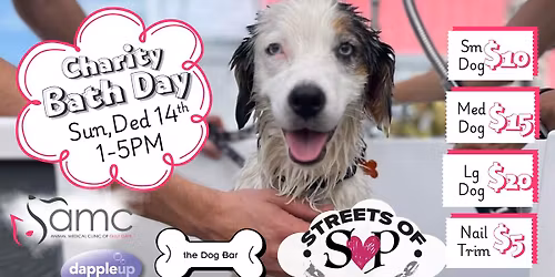 December Charity Bath Day \ud83c\udf81