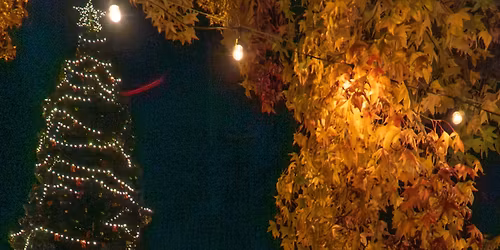Tree Lighting