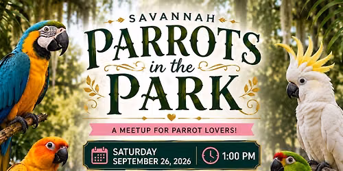 Parrots in the Park