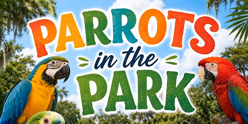 Parrots in the Park