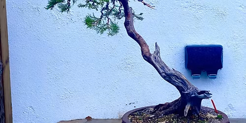 Juniper styling workshop