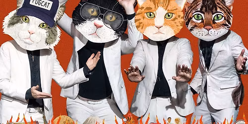 The Amazing Acro-Cats