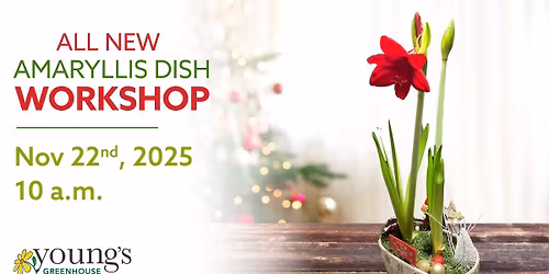 NEW | Amaryllis Dish Workshop