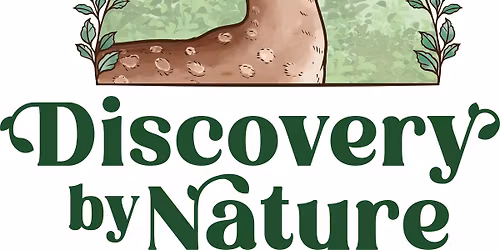 Bird to Dinosaur Connection