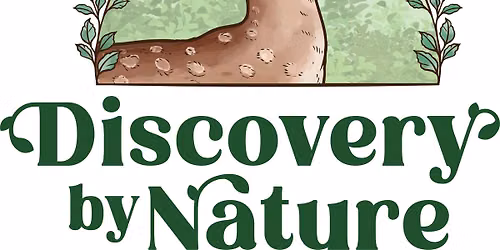 Bird to Dinosaur Connection