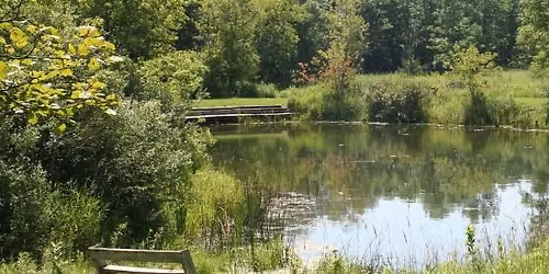 Yoga at the Ponds