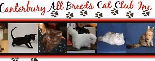 NZCF National Cat Show hosted by CABCC